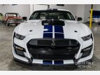 Thumbnail Photo 14 for 2020 Ford Mustang Shelby GT500 Coupe